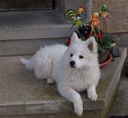 DSC00658