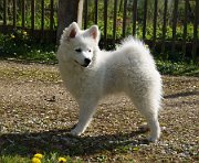DSC00739