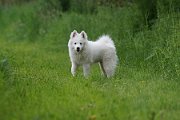 DSC00840-001