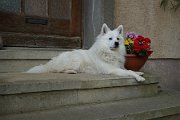 DSC03098