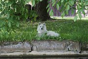 DSC03176-001
