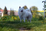 DSC05295
