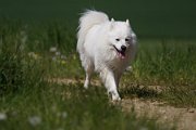 DSC05351